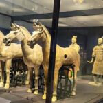 ZANBUS: Xi'an Qin Terra-cotta Warriors Bus Tour Departs at 8/9 AM - The Main Attraction: The Museum of Qin Terra-cotta Warriors and Horses