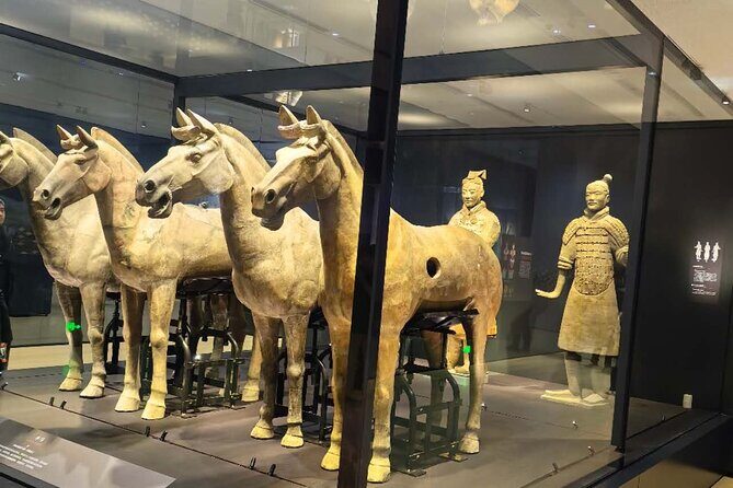 ZANBUS: Xi'an Qin Terra-cotta Warriors Bus Tour Departs at 8/9 AM - The Main Attraction: The Museum of Qin Terra-cotta Warriors and Horses
