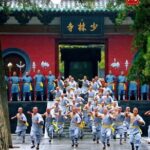 Zhengzhou private day tour to Shaolin Temple with Kungfu show - What We Like About This Tour