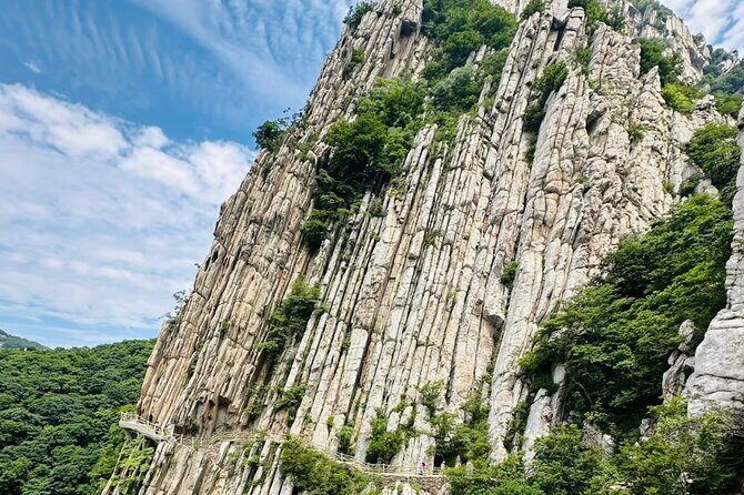 Zhengzhou private day tour to Shaolin Temple with Kungfu show - Transportation and Service Quality