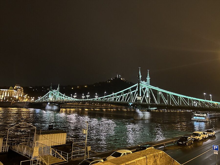Liberty Bridge at night Budapest illuminated green
