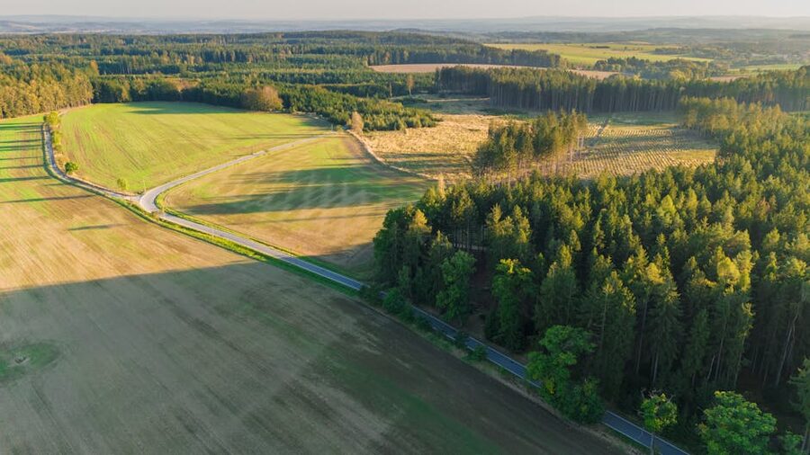 Czech countryside on the drive south from Prague to Cesky Krumlov