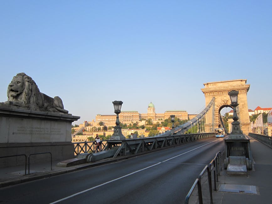Chain Bridge with lion statue in Budapest on a sunny day
