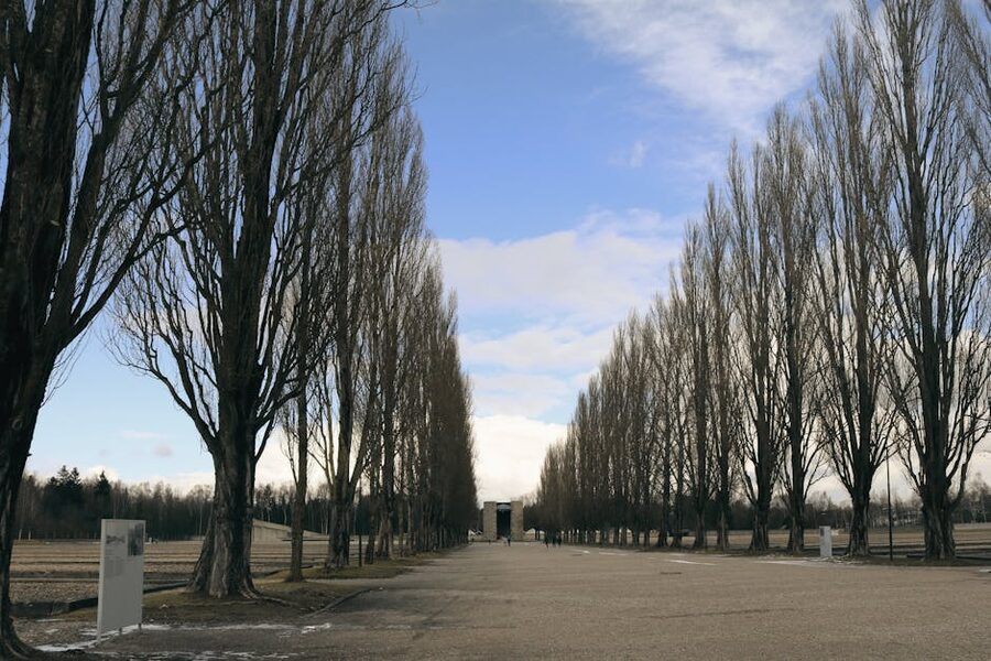 Dachau Concentration Camp Memorial site with rows of bare poplars
