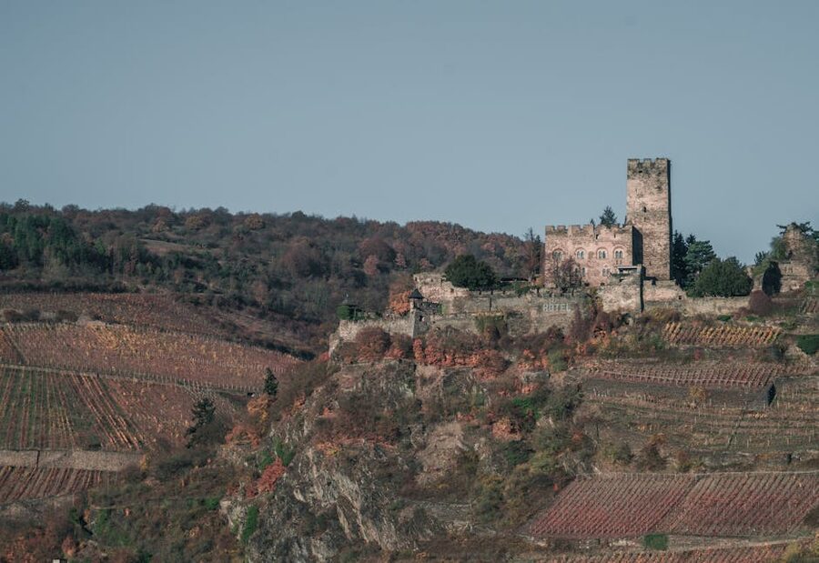 Burg Gutenfels above autumn vineyards on the Rhine