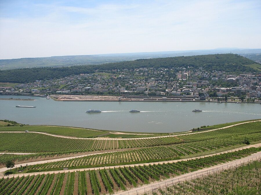 Rüdesheim am Rhein viewed from the Niederwald Monument