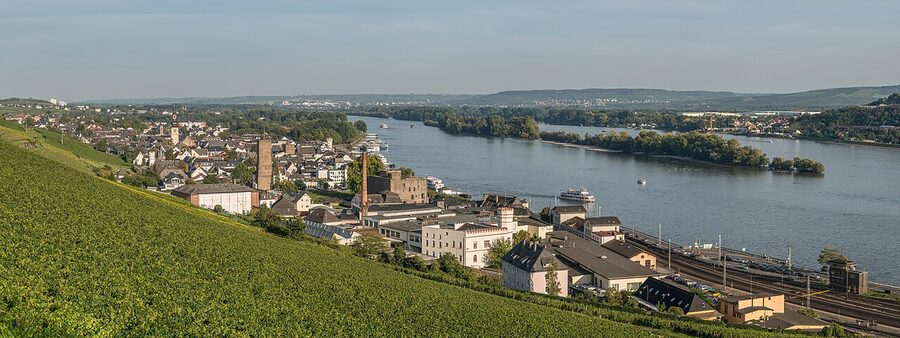 Panoramic view of Rudesheim am Rhein from the west