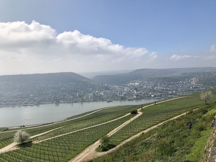 Cultural landscape of the Upper Middle Rhine Valley vineyards