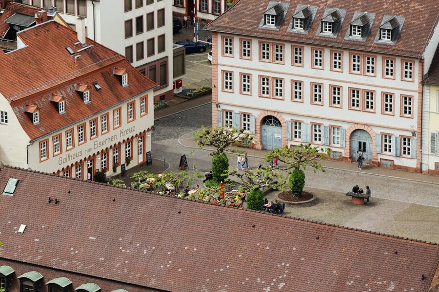 Aerial view of Heidelberg Old Town and the Neckar River