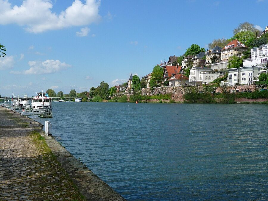 Weisse Flotte boats moored on the Neckar in Heidelberg