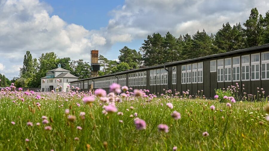Sachsenhausen Memorial buildings with spring flowers