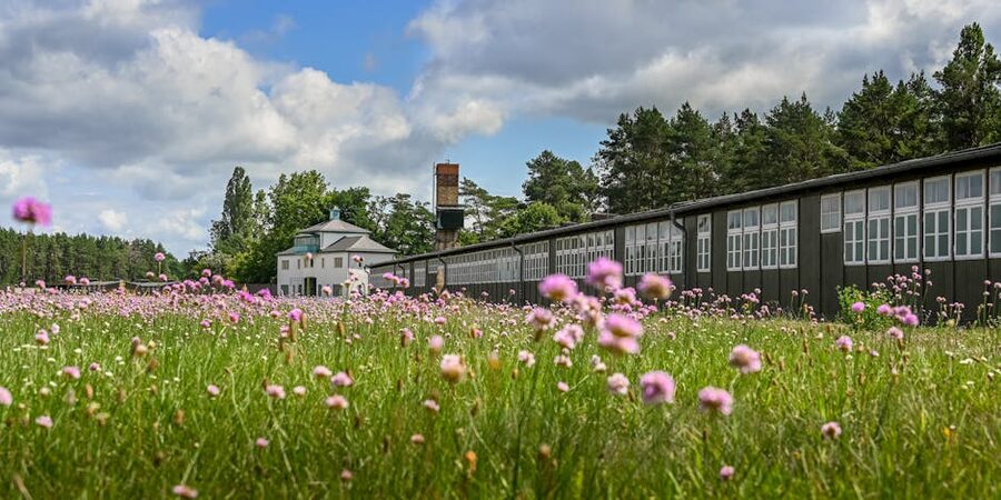 Wildflowers at Sachsenhausen Memorial in spring