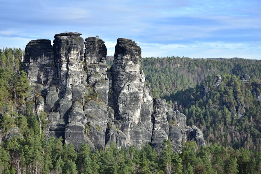 Saxon Switzerland rocky cliffs forest
