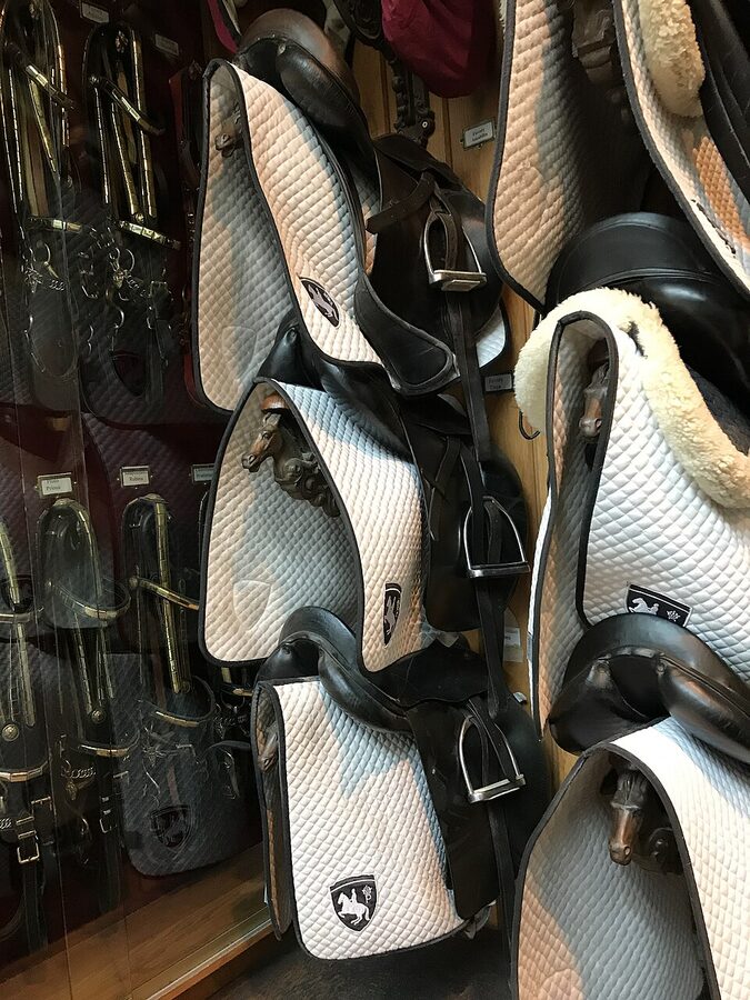 Saddles on individual pegs at Spanish Riding School