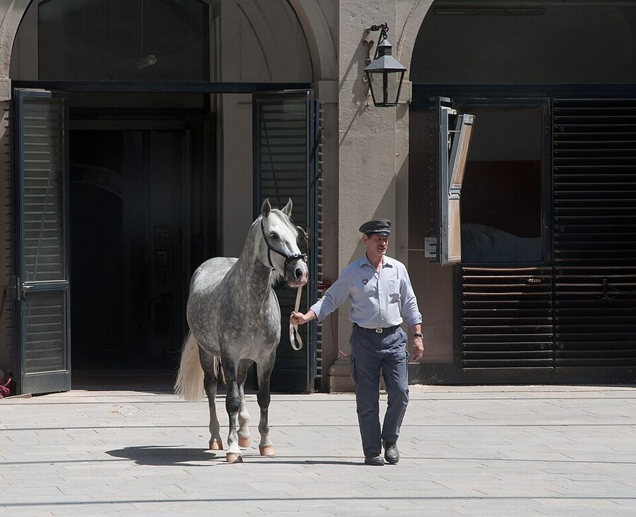 Stallburg stable Spanish Riding School Vienna