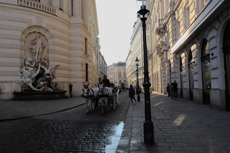 Horse-drawn carriage on a Vienna cobblestone street