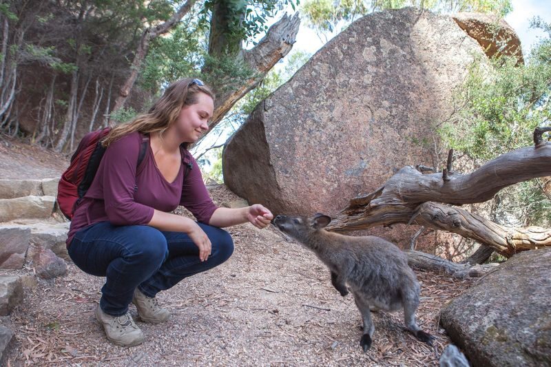 1 Day Hobart to Launceston via Wineglass Bay & Freycinet Tour - From Hobart through Orford and Swansea