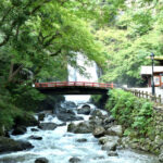1-Day Osaka Tour: Discover Daruma Magic and the Beautiful Minoh Fall - The bus ride and the practical rhythm of the day