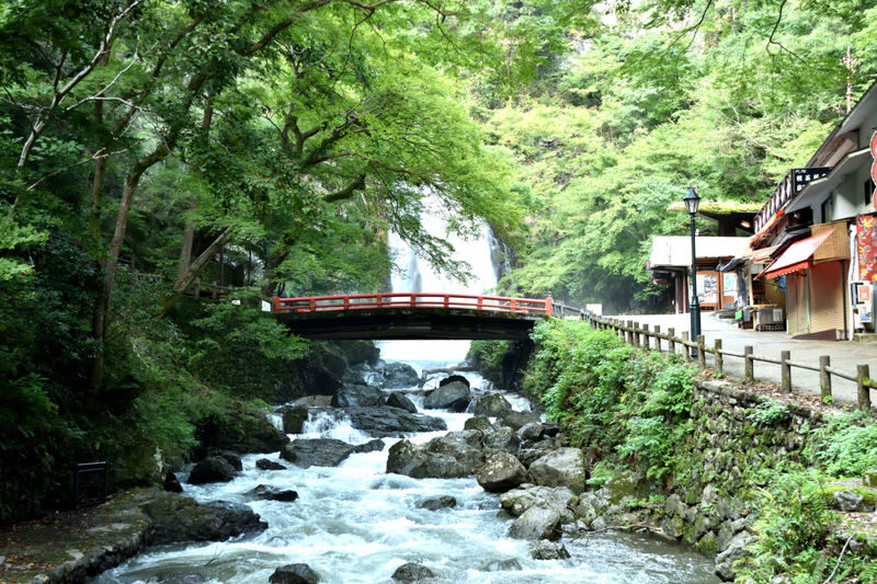 1-Day Osaka Tour: Discover Daruma Magic and the Beautiful Minoh Fall - The bus ride and the practical rhythm of the day
