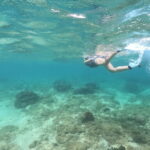 1 Day Snorkel Diver License Course in Okinawa - What the CMAS card means for your day