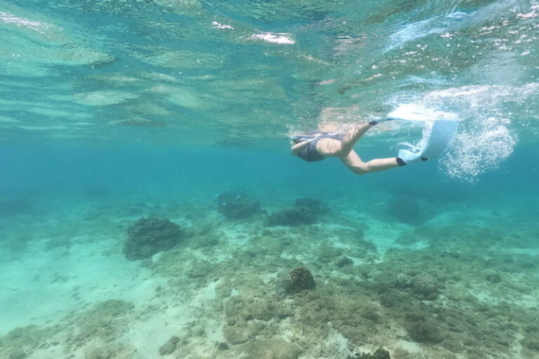 1 Day Snorkel Diver License Course in Okinawa - What the CMAS card means for your day