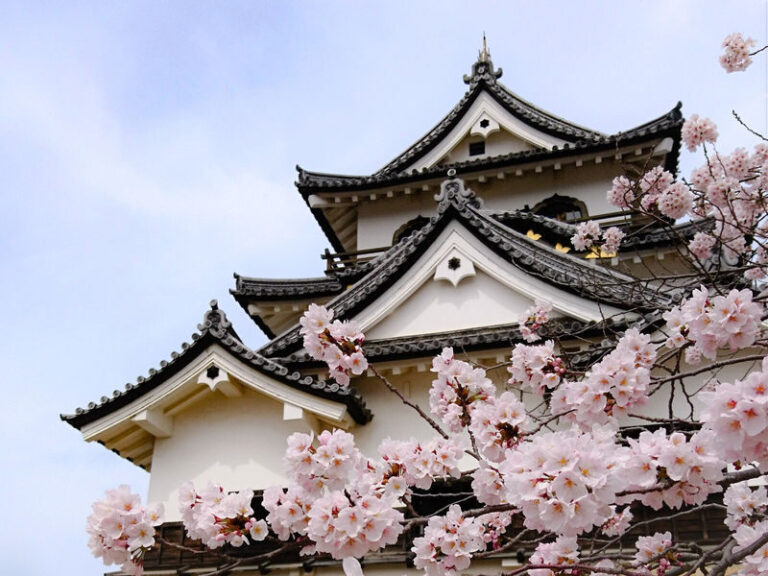 1-Day Tour: Castles & Canals in Hikone & Omi Hachiman (from Nagoya) - Starting at Nagoya Station