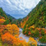 1 Day Tour from Kanazawa: Kurobe Gorge and Unazuki Onsen - The trolley ride into Kurobe Gorge