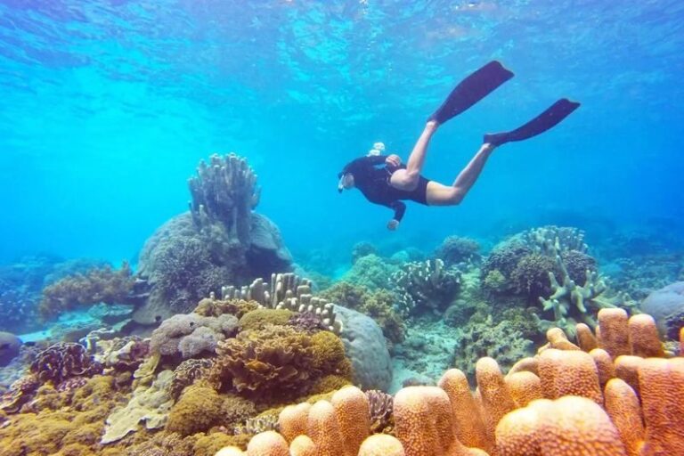 1-Day Tour Rangko Cave And Sabolo Island Snorkeling in Labuan Bajo - Seraya adds another reef stop