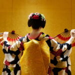 1-Hour Geisha/Maiko Show in Kyoto - What the one-hour visit includes