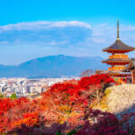 1 Person Group: Meet adorable deer, stroll through ancient capitals: Kyoto, Nara, Osaka Kansai classic panoramic one-day tour - Kiyomizu-dera and Kyoto’s old lanes