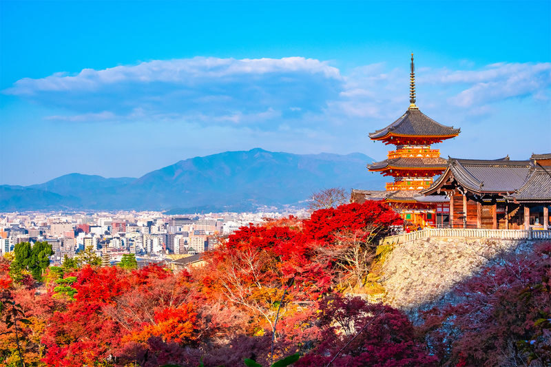 1 Person Group: Meet adorable deer, stroll through ancient capitals: Kyoto, Nara, Osaka Kansai classic panoramic one-day tour - Kiyomizu-dera and Kyoto’s old lanes