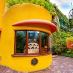10-Day Private Japan Family Tour with Kids by UME Travel - Tokyo to Osaka - Tokyo Disneyland: a full day, on your own