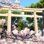 11 Day Southern Japan Cherry Blossom Festival by UME Travel - Lake Kawaguchi, Mount Fuji, and Oshino Hakkai