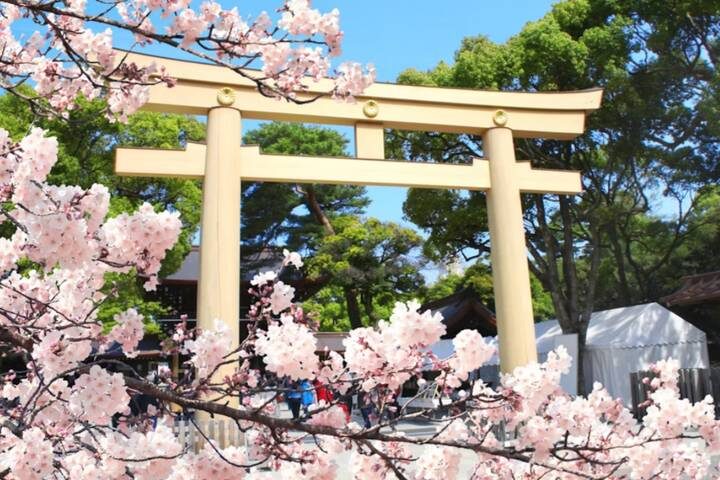 11 Day Southern Japan Cherry Blossom Festival by UME Travel - Lake Kawaguchi, Mount Fuji, and Oshino Hakkai