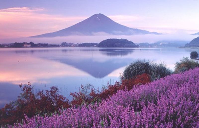 12:30 Departure - Mount Fuji with free dinner set - Kawaguchiko, Oishi Park, Oshino Hakkai, Illumination tour - Kawaguchiko: a Mount Fuji-area stop