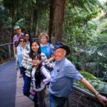 12-Hour Blue Mountains with River Cruise Day Tour - Echo Point and the Three Sisters