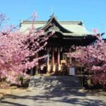 13 Day Spectacular Japans Honshu by UME Travel - Lake Kawaguchi: cycling beneath Mount Fuji