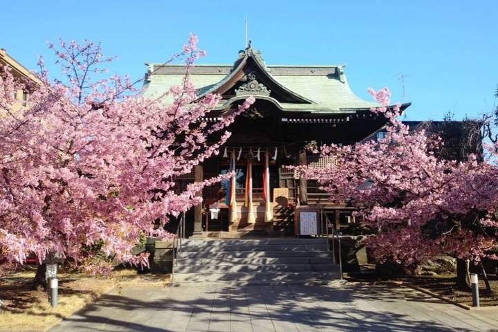 13 Day Spectacular Japans Honshu by UME Travel - Lake Kawaguchi: cycling beneath Mount Fuji
