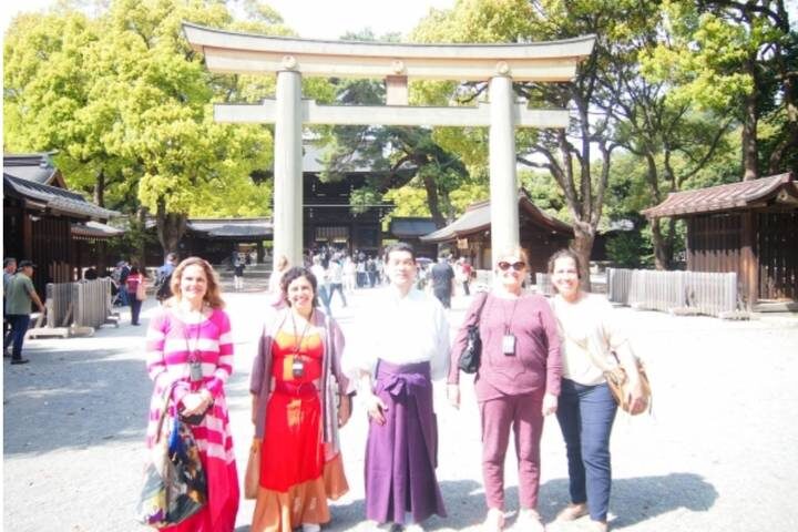13 Days Iconic Japan Tour (private guide & driver) by UME Travel - Mount Fuji: beautiful views, with a weather caveat