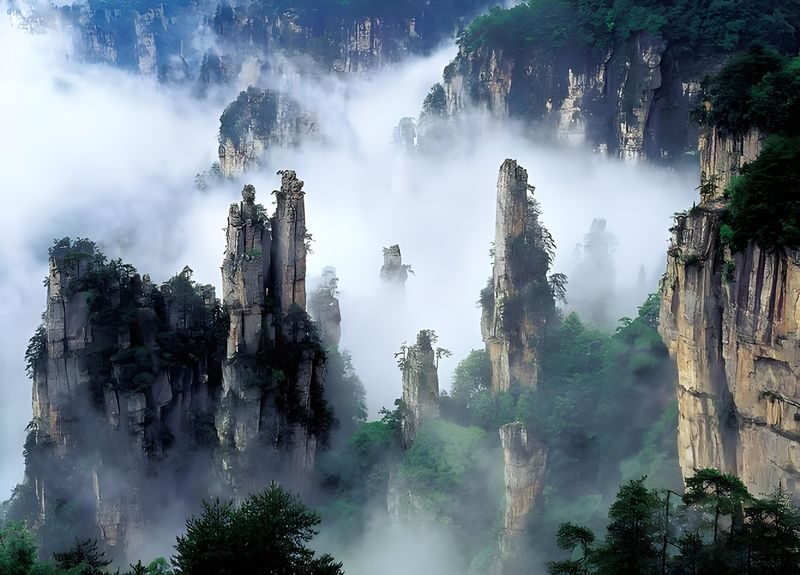 2-Day Classic Zhangjiajie: National Park, Glass Bridge, and Tianmen Mountain (Boutique Small Group Tour) - Day one: navigating the forest park