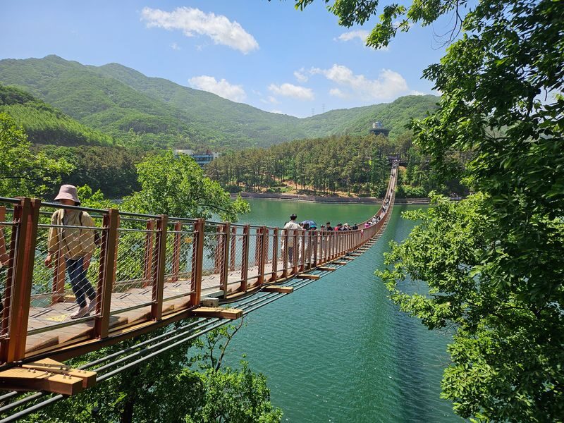 2 Days Top Attractions of Korea Tours (DMZ+Seoul City Tour) - Day 2: Gyeongbok Palace, Seoul Tower or the Blue House