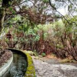 25 Fontes and Risco Levada Self-Guided Hike Transfer - Following the levada to 25 Fontes