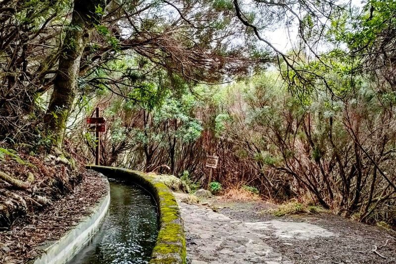 25 Fontes and Risco Levada Self-Guided Hike Transfer - Following the levada to 25 Fontes