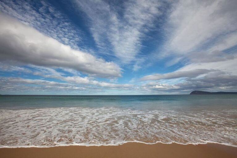 2D Hobart & Bruny Island Sightseeing Tour from Tasmania - Day one: Hobart, Salamanca and the mountain