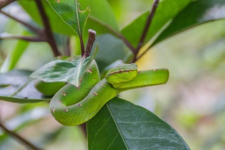 2D1N Sarawak Bako National Park Tour with Night Safari Walk - Getting to the park and settling in