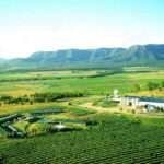 3-Day Hunter Valley Return Trip by Scenic Train from Sydney - Day 1: the Wine Theatre and a quiet afternoon
