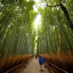3 Day Kyoto, Osaka & Nara Tour from Tokyo by Tourist Journey - Day 2: Osaka Castle to Dotonbori