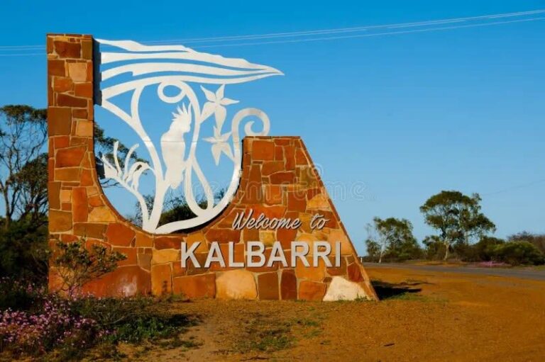 3-Day Western Australia Pink Lake and Kalbarri Tour with drone photo - Day one: alpacas, odd landmarks and Kalbarri’s canyon