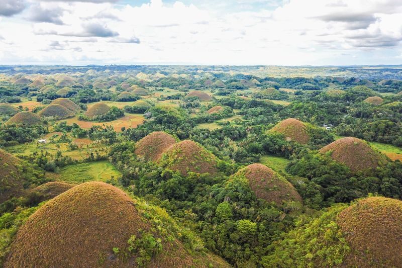 3D2N Bohol Tour - Day two: Pamilacan by boat