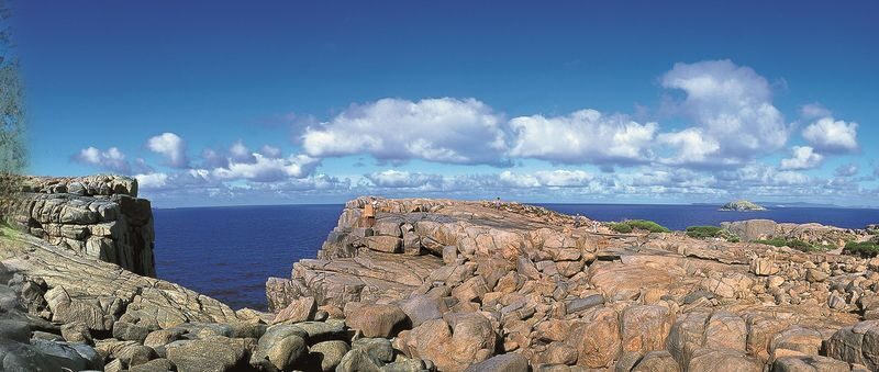 4 day 3 night Margaret River and Albany Tour - Day 2: Forest country and the Valley of the Giants